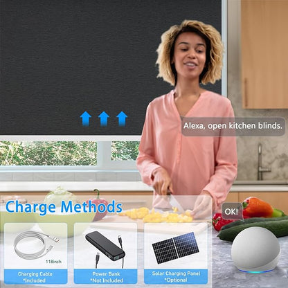 COOLWINDS Motorized Blinds