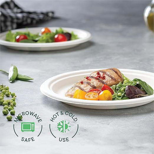 100% Compostable Paper Plates 9 Inch [500 Count] Heavy-Duty Dinner Plates - Natural White Color Unbleached Bagasse - Eco-Friendly Disposable Biodegradable Sugarcane Plates - [Bulk Case 4/125 Pack]