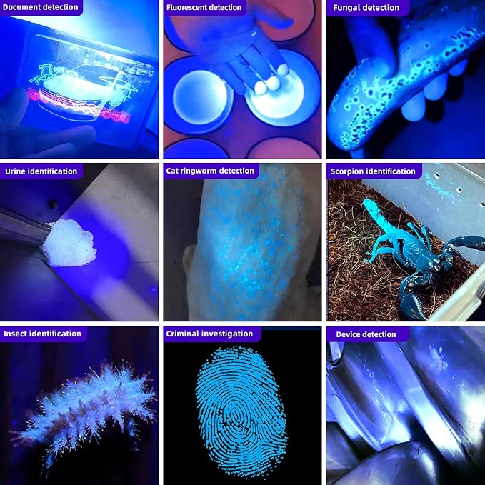 LIGHTFE Blacklight uv Flashlight 365nm UV304 UV Flashlight Rechargeable can be Used for UV Glue Curing and pet Urine Stains, Stains, Minerals, Fluorescent Agents, Detection, etc.