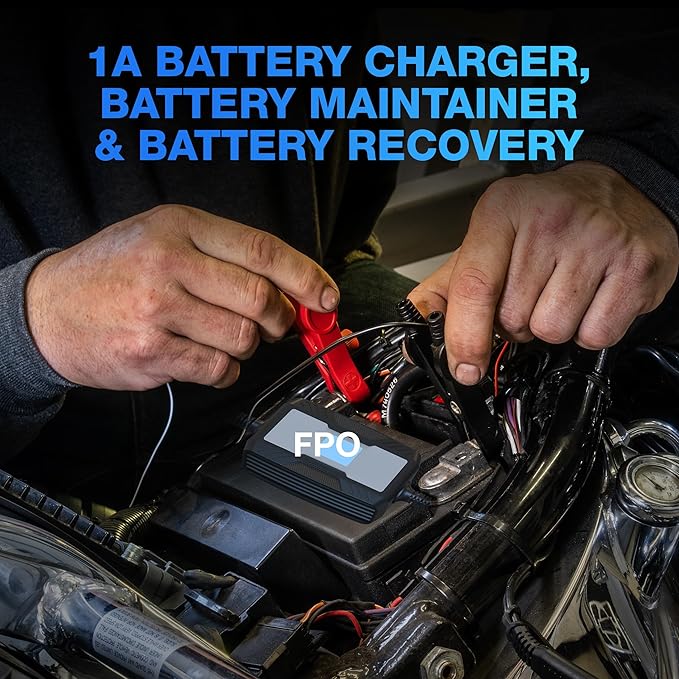 Type S 1A Smart Battery Charger & Maintainer, 6V & 12V Fully Automatic Trickle