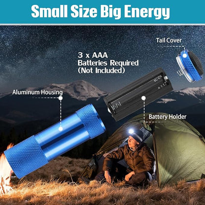 VIHOSE 20 Pcs Mini Flashlights Bulk, Bright Aluminum Handheld Flash Light with Lanyard Small LED Flashlights for Night Reading Emergency Hurricane Camping Hiking, Batteries Not Included(Novel)