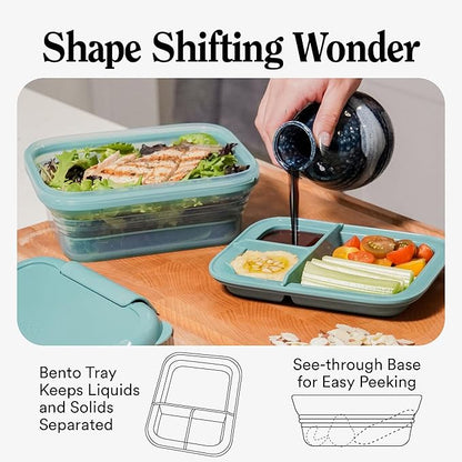 STOJO Collapsible Bento Box, Reusable, Leak-Proof, Microwave & Dishwasher Safe, Premium Lunch Container with Divider – Space-Saving, Transparent Design (Eucalyptus, 2.75-Cup/650mL)