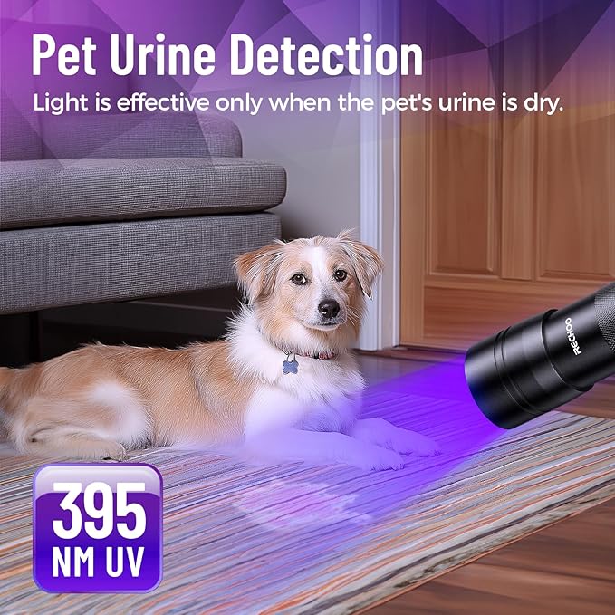 Black Light UV Flashlight 2 Pack, 12 LED 395nm UV Flashlight, Portable Mini UV Light Waterproof, Blacklight for Pet Urine Detection, Dry Stains, Bed Bug, Fluorescent Agent (Batteries not included)