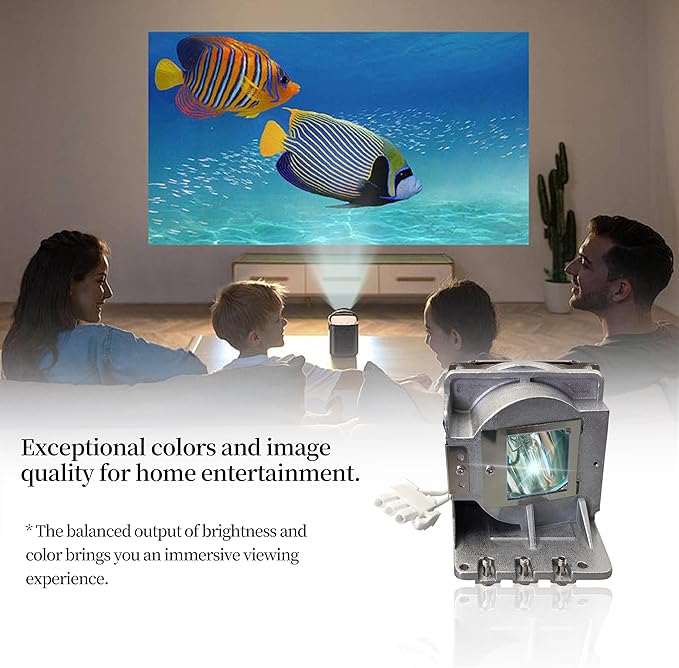 SORNEICDR SP LAMP-086/5J.JEL05.001/BL-FP190C Replacement Projector Lamp Bulb
