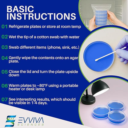Evviva Sciences Nutrient Agar Petri Dishes Science Project Kit, Pre-Poured Agar Plates for Science Experiments, with Experiment eBook (Blue)