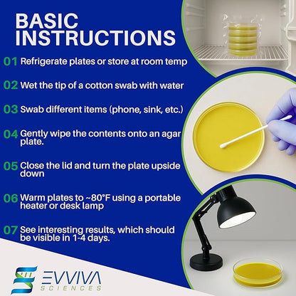 Evviva Sciences Nutrient Agar Petri Dishes Science Project Kit, Pre-Poured Agar Plates for Science Experiments, with Experiment eBook (Yellow)