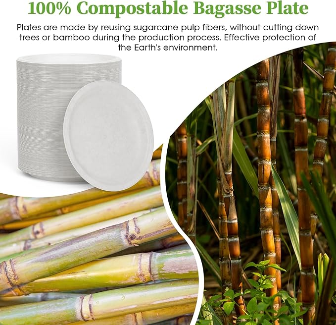 ECOLipak 6 Inch Disposable Compostable Small Paper Plates, 200 Pack Recycled Sugarcane Bagasse Biodegradable Heavy Duty Mini Dinner Appetizer Cake Dessert Plates for Party(White)