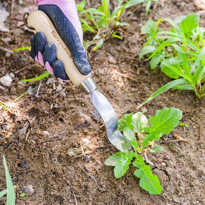 Berry&Bird Hand Weeder Tool, Stainless Steel Gardening Weed Puller, 12.1" Manual Weeding Removal Cutter Tool with Ash Wood Handle for Planting, Weeding, Flower & Vegetable Care in Garden Lawn Yard