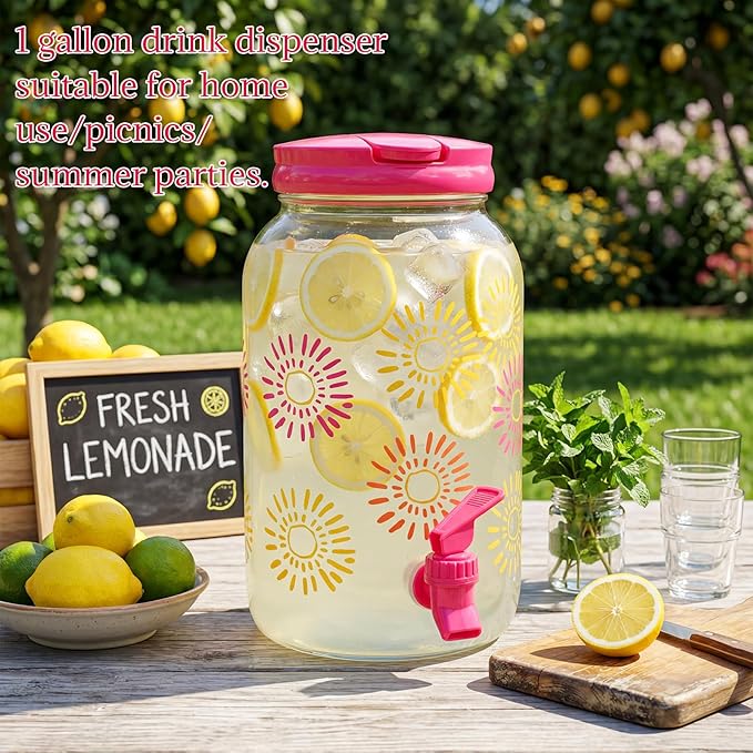 Havawish 2 Pcs 1 Gallon Plastic Beverage Dispenser