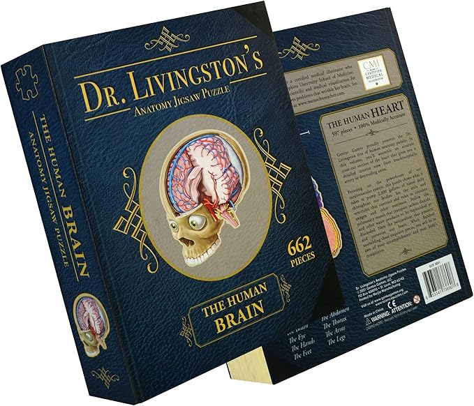 Dr. Livingston's Human Brain Anatomy Puzzle - A Medically Accurate Jigsaw Puzzle of The Brain Section - Educational Organ Toy for Teens & Adults - Unique Science Gift for Doctors, Nurses & Teachers