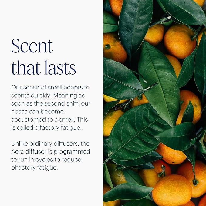 Aera Mini Home Fragrance Diffuser Plug-in: Smart Home App Aroma Control