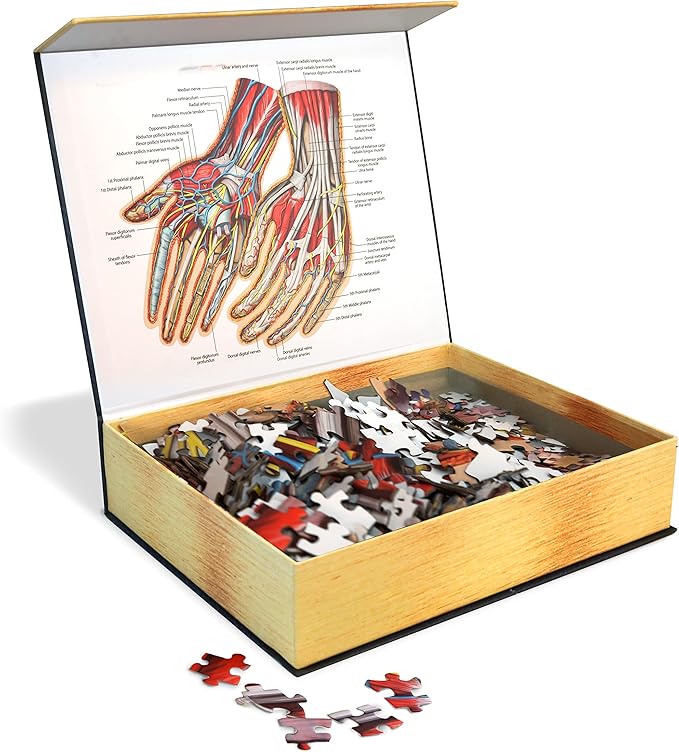 Dr. Livingston's Human Hands Anatomy Puzzle - A Medically Accurate Jigsaw Puzzle of the Hands - Educational and Engaging Toy about the Human Body - Unique Science Gift for Doctors, Nurses and Teachers
