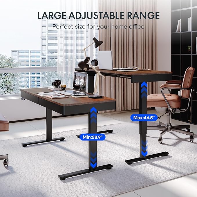 FLEXISPOT Q5 Standing Desk
