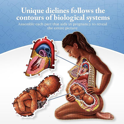 Pregnant Mother Anatomy Jigsaw Puzzle | 488-Piece Science Accurate Adult Puzzle | Educational and Entertaining 3ft x 2ft Poster Size Puzzle | Ideal Gift for Mothers, Educators & Medical Professionals