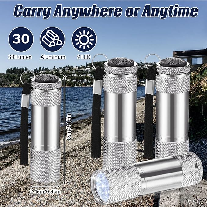 VIHOSE 20 Pcs Mini Flashlights Bulk, Bright Aluminum Handheld Flash Light with Lanyard Small LED Flashlights for Night Reading Emergency Hurricane Camping Hiking, Batteries Not Included(Silver)