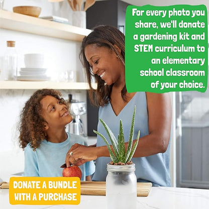 Back to the Roots Self Watering Grow Kit - Glass Hydroponic Planters for Succulents and Cacti Self-Watering System