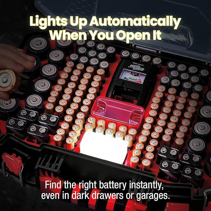 Ontel Battery Daddy Storage & Organizer Case