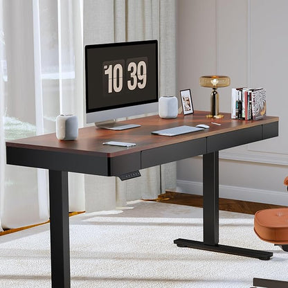FLEXISPOT Q5 Standing Desk