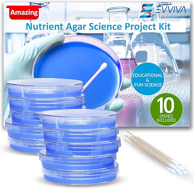 Evviva Sciences Nutrient Agar Petri Dishes Science Project Kit, Pre-Poured Agar Plates for Science Experiments, with Experiment eBook (Blue)
