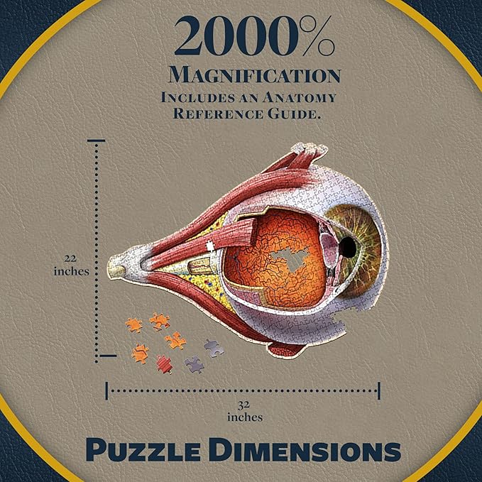 Dr. Livingston's Human Eye Anatomy Puzzle - A Medically Accurate Jigsaw Puzzle of The Human Eye - Educational Science Puzzles and Unique Gifts for Eye Doctors, Nurses and Medical Students