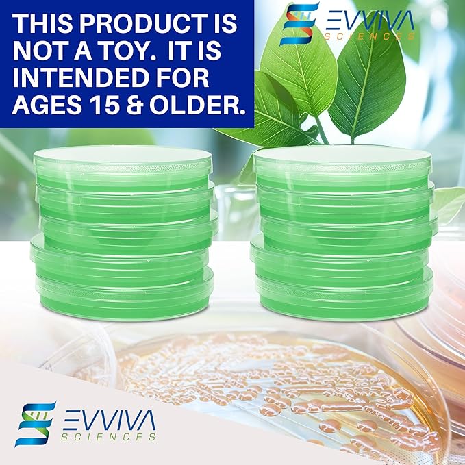 Evviva Sciences Nutrient Agar Petri Dishes Science Project Kit, Pre-Poured Agar Plates for Science Experiments, with Experiment eBook (Green)