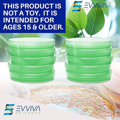 Evviva Sciences Nutrient Agar Petri Dishes Science Project Kit, Pre-Poured Agar Plates for Science Experiments, with Experiment eBook (Green)