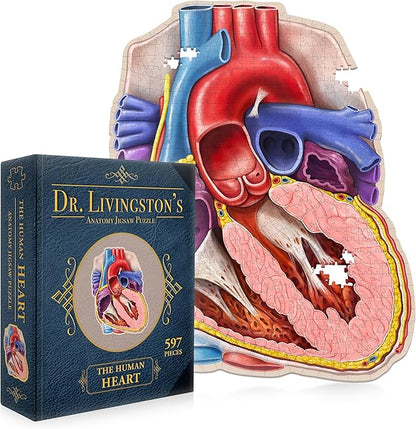 Dr. Livingston's Human Heart Anatomy Puzzle - A Medically Accurate Jigsaw Puzzle of the Heart Section - Educational Organ Puzzle for Teens & Adults - Unique Science Gift for Doctors, Nurses & Teachers