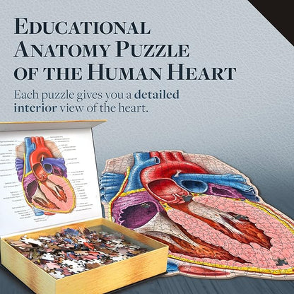 Dr. Livingston's Human Heart Anatomy Puzzle - A Medically Accurate Jigsaw Puzzle of the Heart Section - Educational Organ Puzzle for Teens & Adults - Unique Science Gift for Doctors, Nurses & Teachers