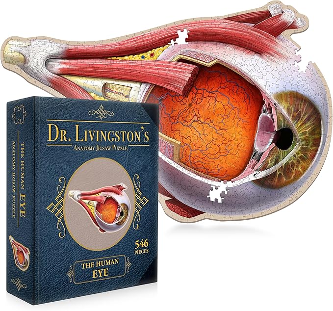 Dr. Livingston's Human Eye Anatomy Puzzle - A Medically Accurate Jigsaw Puzzle of The Human Eye - Educational Science Puzzles and Unique Gifts for Eye Doctors, Nurses and Medical Students