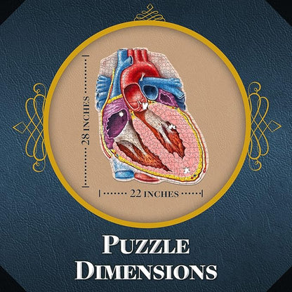 Dr. Livingston's Human Heart Anatomy Puzzle - A Medically Accurate Jigsaw Puzzle of the Heart Section - Educational Organ Puzzle for Teens & Adults - Unique Science Gift for Doctors, Nurses & Teachers